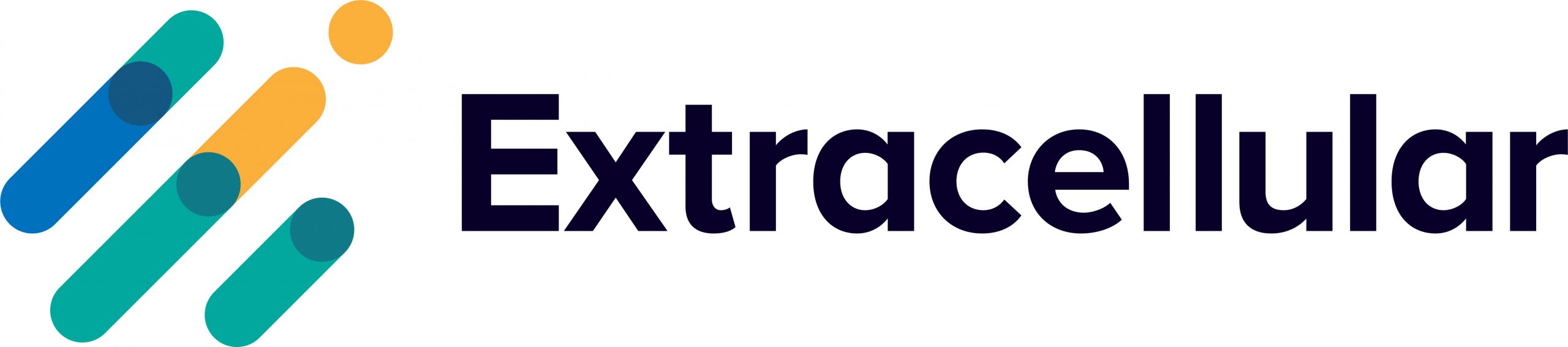 Logo for Extracellular. Extracellular is a current customer of MontBlancAI
